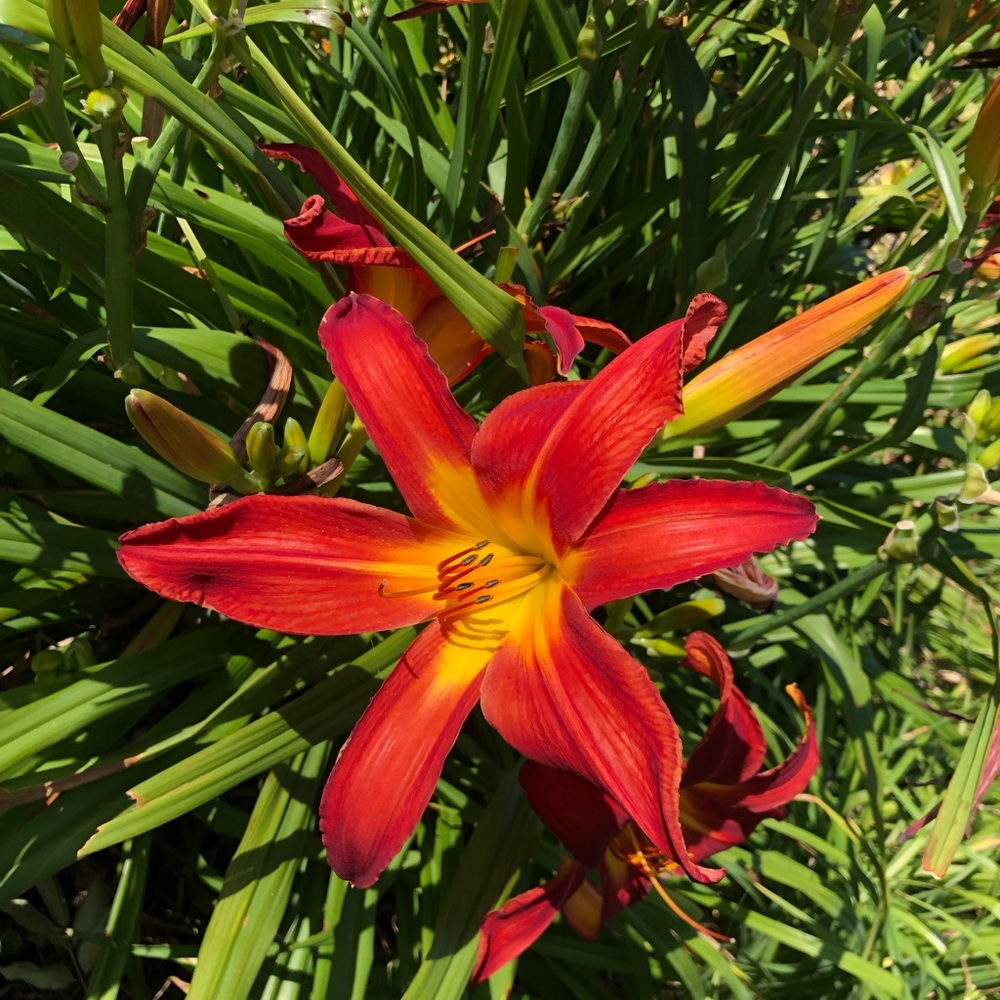 Meet your Posher, Gina